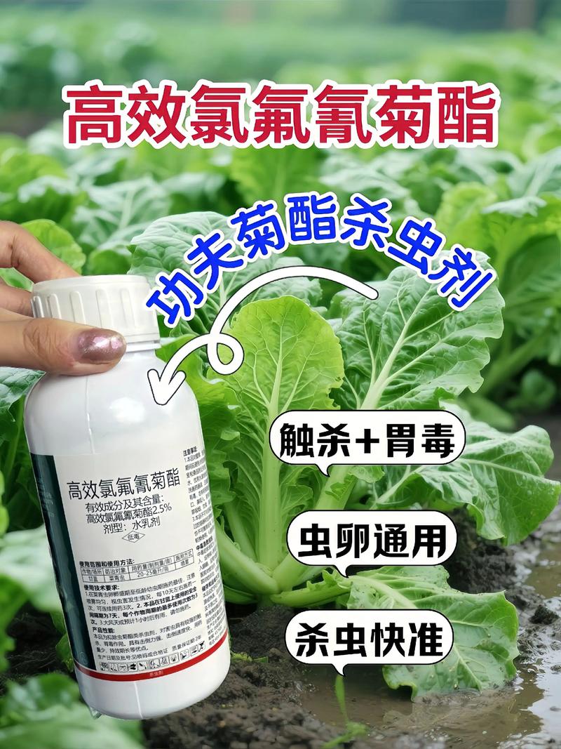 西青代生中心:农药对供卵代生妈妈的危害